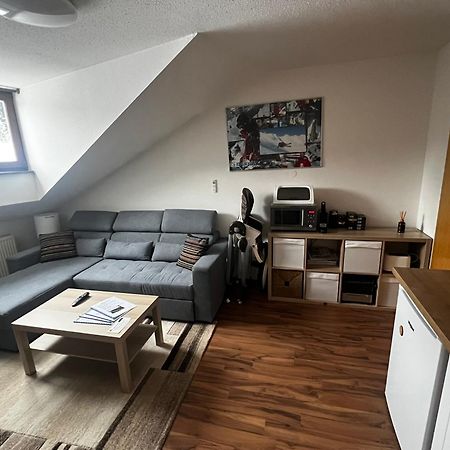 Family Apartment Sumava 拜尔里舍艾森施泰恩 外观 照片