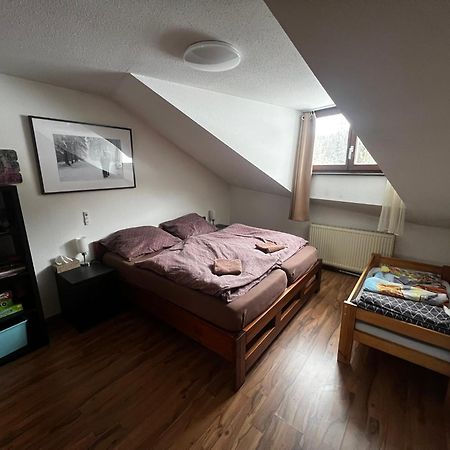Family Apartment Sumava 拜尔里舍艾森施泰恩 外观 照片