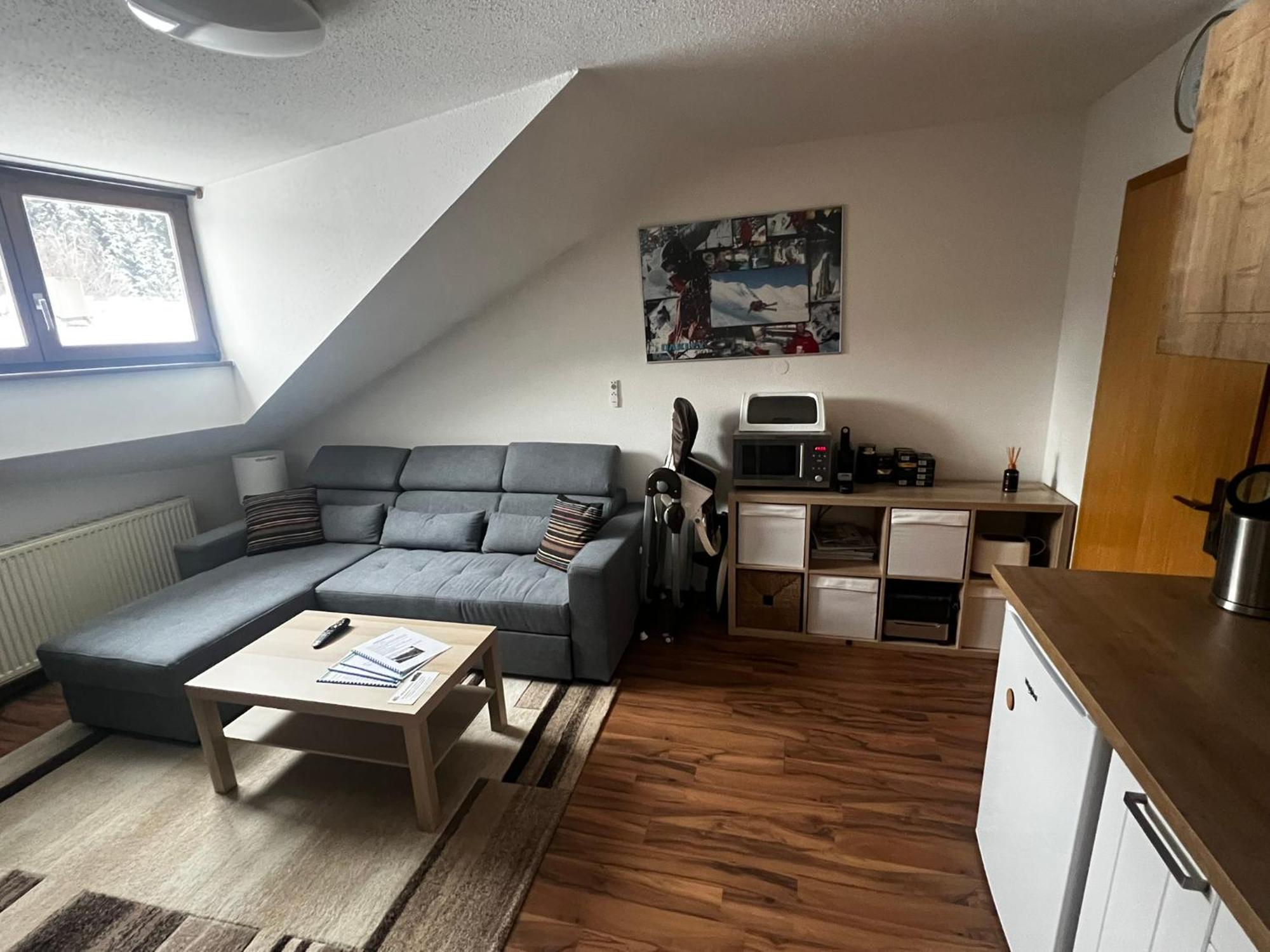 Family Apartment Sumava 拜尔里舍艾森施泰恩 外观 照片